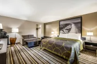 Super 8 by Wyndham Riviera Beach West Palm Beach - Wi-Fi