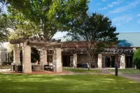 Courtyard Dallas Addison/Quorum Drive - Pools
