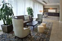 Hilton Greenville - parcheggio