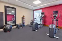 Home2 Suites by Hilton Battle Creek - 피트니스 시설