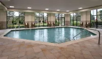 Hampton Inn Ann Arbor-South - Hot Tub