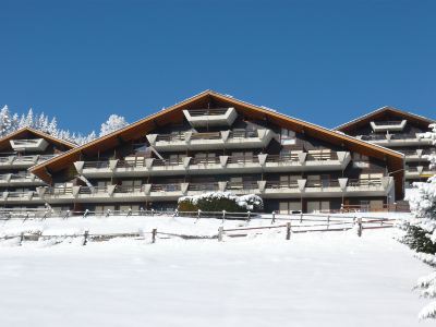 Centaure