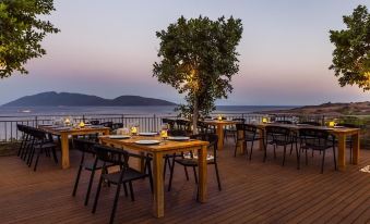 METT Hotel & Beach Resort Bodrum