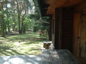 Detached Romantic Cottage in The Woods