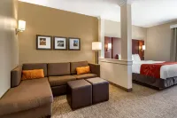 Comfort Suites Kyle Hotels in Kyle