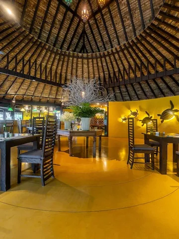 รูปภาพของปารดี