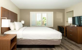 Best Western Houston Bush InterContinental Airport Inn