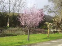 Chambre d'Hôtes le Moulin d'Encor Hotels in Haute-Garonne