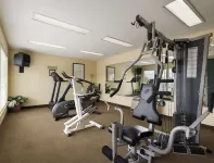 Baymont by Wyndham Dublin - Fitnessstudio