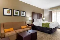 Comfort Inn & Suites Hotel di Griffin