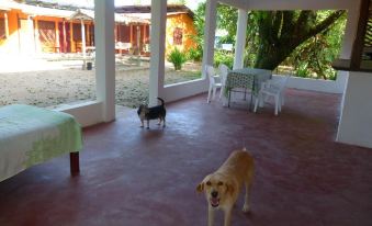 Aracari Garden Hostel