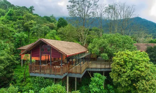 Vythiri Mist Resort