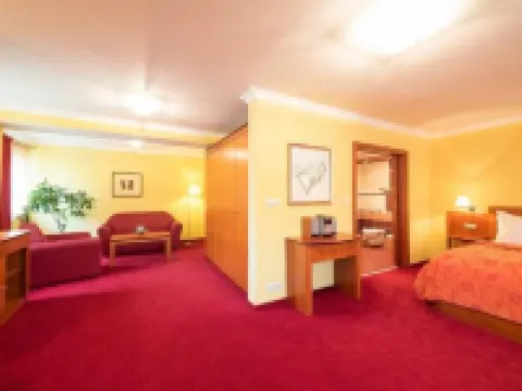 Hotel Česká Koruna Hotels in Decin