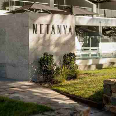 Netanya Noosa Hotel Exterior