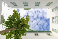 Holiday Rentals Los Salados Hotels in Camas