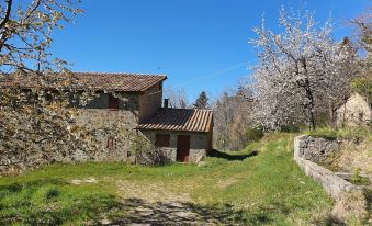 - Agriturismo la Piaggia - Forest View Apartment on the Ground Floor 2 Guests