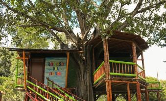 Room in Lodge - Tree House Finca la Floresta Verde
