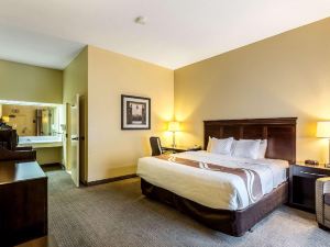 Quality Inn Union City US 51