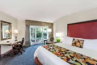 Safety Harbor Resort & Spa, Trademark Collection by Wyndham Hotels in Safety Harbor