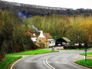 The Cricketers