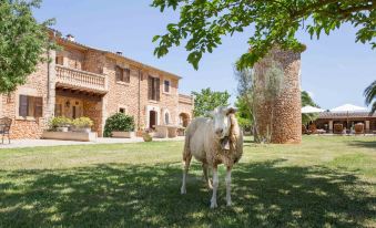 Agroturismo Es Quatre Cantons