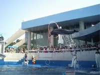 Tenku Yubo Seikaiso