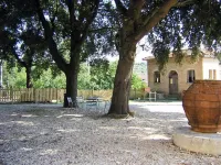 Residenza Del Marchese - Wifi
