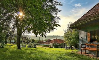 Count Kalnoky's Transylvanian Guesthouse