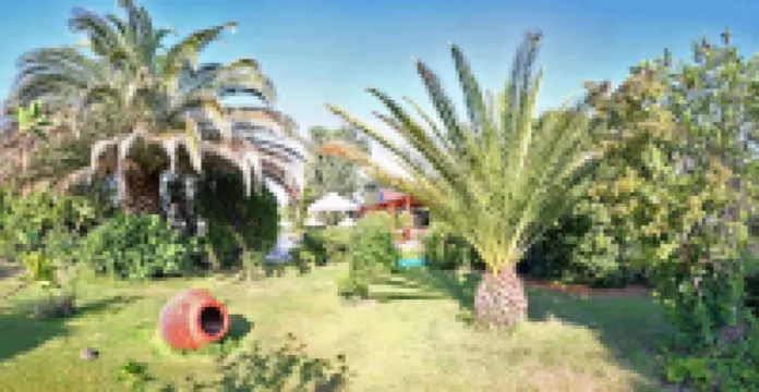 Pasiphae Hotel Hotels in 