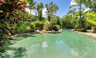 a large , well - maintained backyard with a swimming pool surrounded by lush greenery and palm trees at Trinity Links Resort