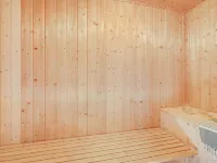 "Shalez" -  from the Sea