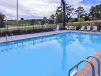 Americas Best Value Inn Wiggins Hotels in Wiggins