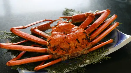 Resort Ryokan Yadokari Отели рядом с достопримечательностью «Echizen Beach»