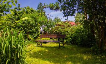 Domek na Wzgorzu - Housity