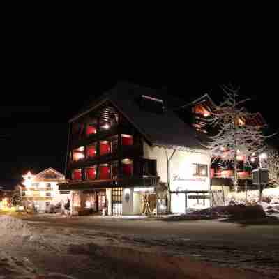 Hotel Schwarzwaldhof Hotel Exterior