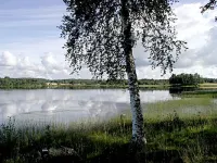 Villiruusu Hotels in Sonkajarvi