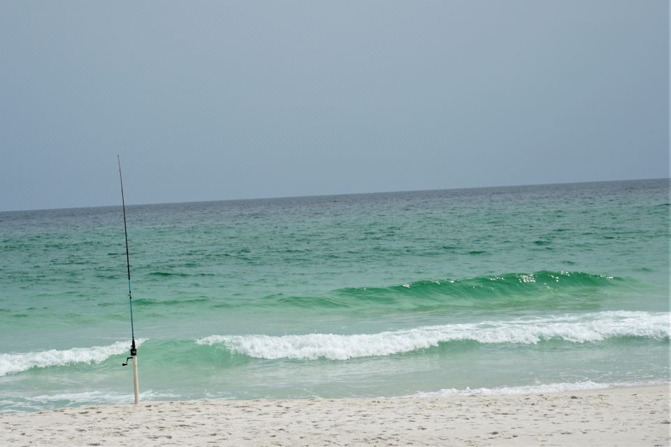 Photo 6 of 6
