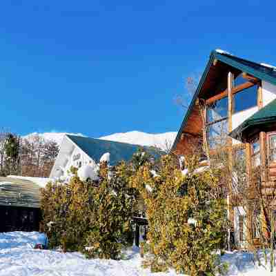 白馬ペンション＆ログホテル ミーティア(Hakuba METEOR Pension & Log Hotel) Hotel Exterior