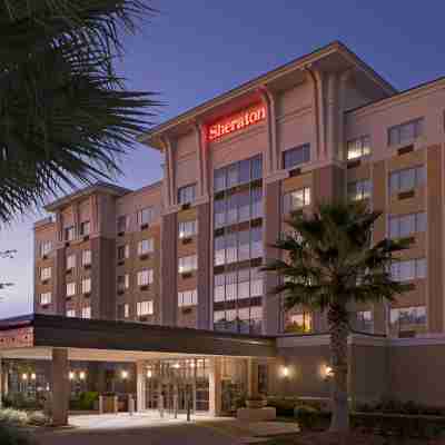 Sheraton Jacksonville Hotel Hotel Exterior