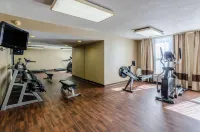 Comfort Inn Blacksburg University Area - Gym