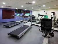 Holiday Inn Express & Suites FORT DODGE by IHG - Gym