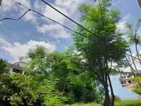 Hotel Krishna Rishikesh