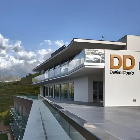 Delfim Douro Hotel