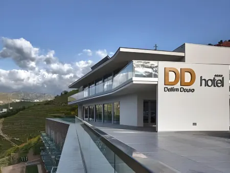 Delfim Douro Hotel Отели в г. Алмакаве