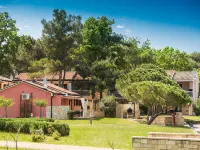 Apartments Amfora Plava Laguna Hotels in Umag
