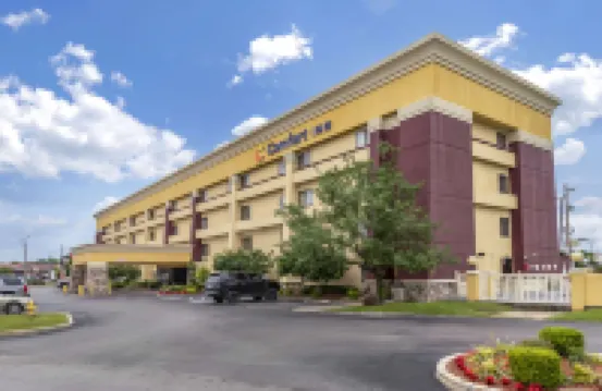 Comfort Inn Midtown Hotels near Abdo Shopping Center