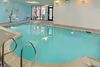 SpringHill Suites Irvine John Wayne Airport / Orange County - Pool
