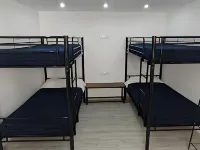 Holidays Domus Papokkio
