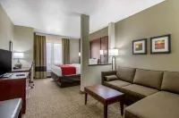 Comfort Inn & Suites Shawnee - Kansas City - WiFi