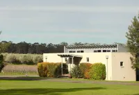 Adina Vineyard